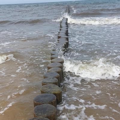 Blick ins Meer